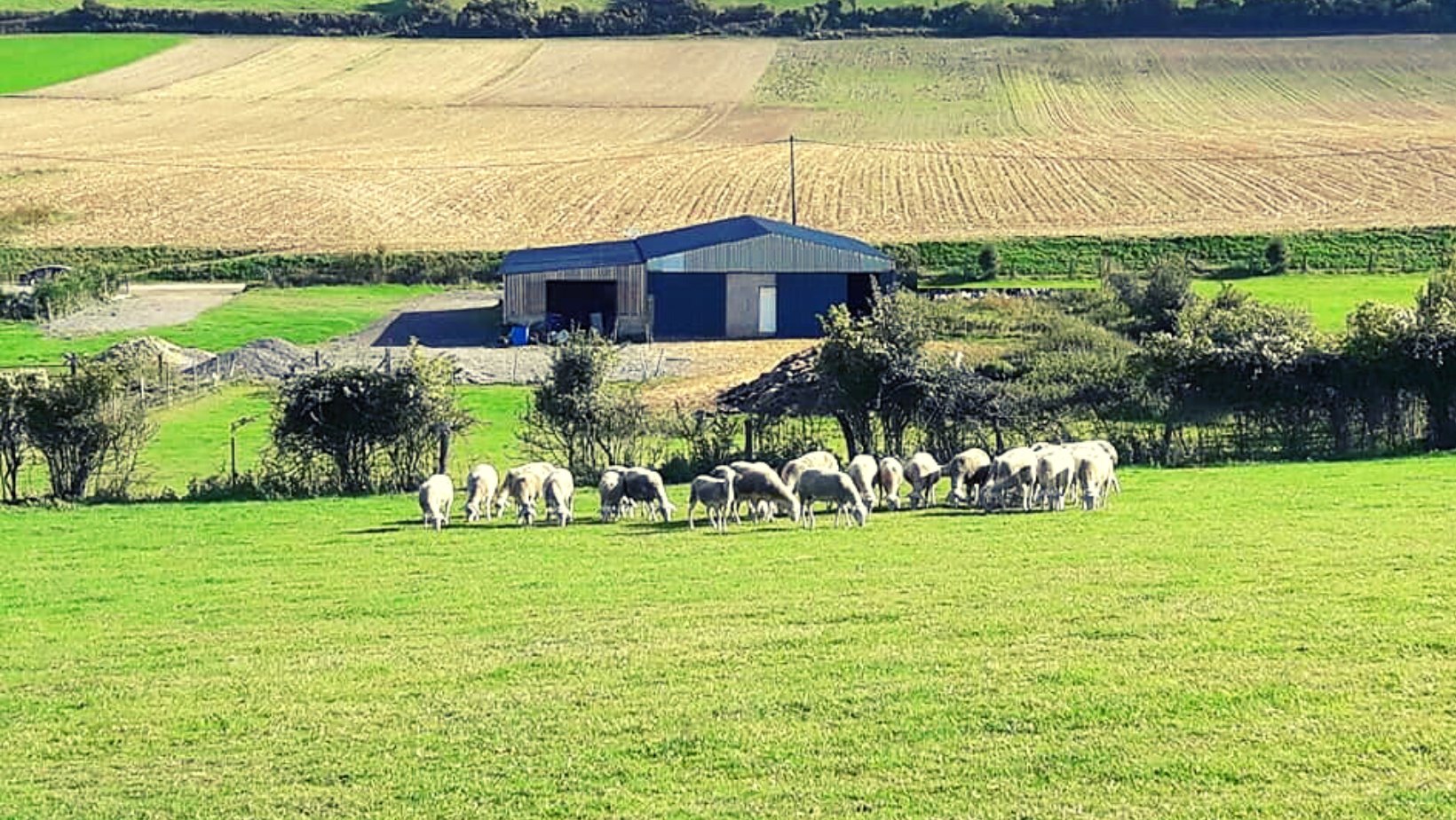 Laits Fromagers du Boulonnais